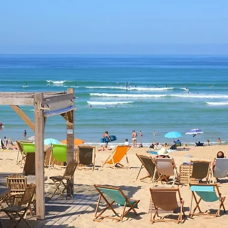 Au Pieds Des Dunes *