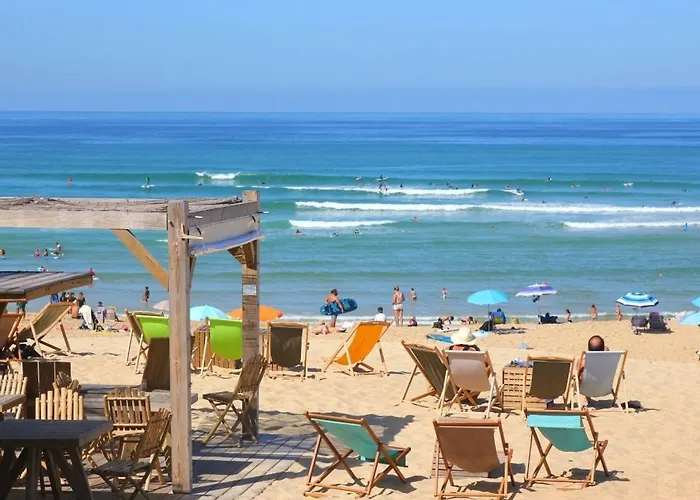 Au Pieds Des Dunes *